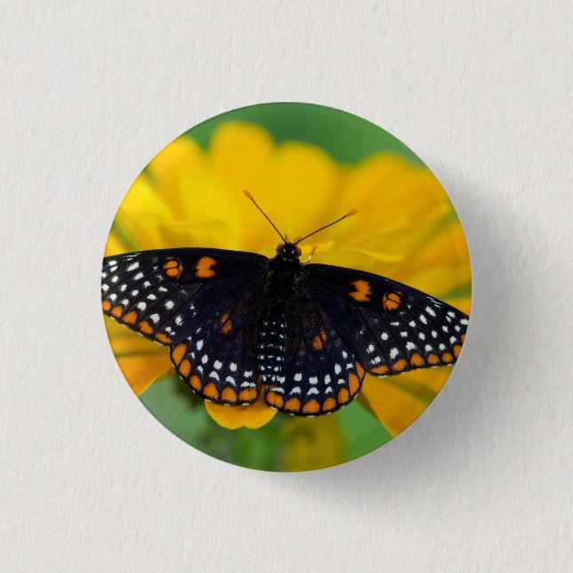 Baltimore Chequered Spot Butterfly 3 Cm Round Badge (Front)