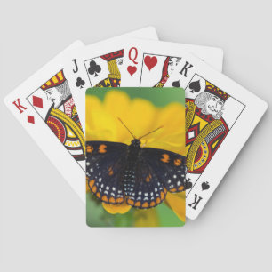 Baltimore Chequered Spot Butterfly Playing Cards