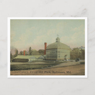 Baltimore MD Druid Hill Park Conservatory 1910 Postcard