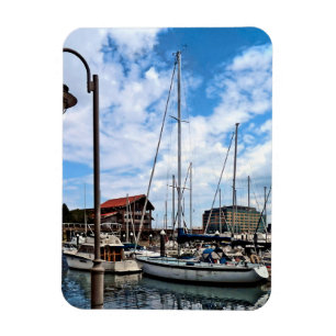 Baltimore MD - Marina Near Fells Point Magnet