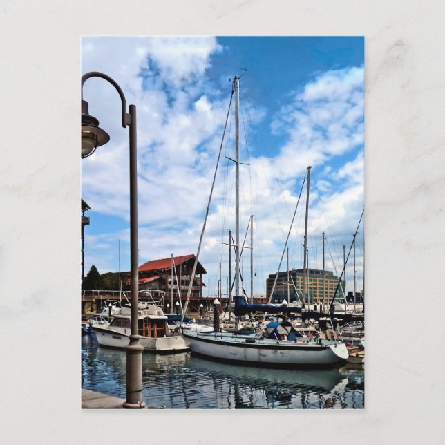 Baltimore MD - Marina Near Fells Point Postcard (Front)