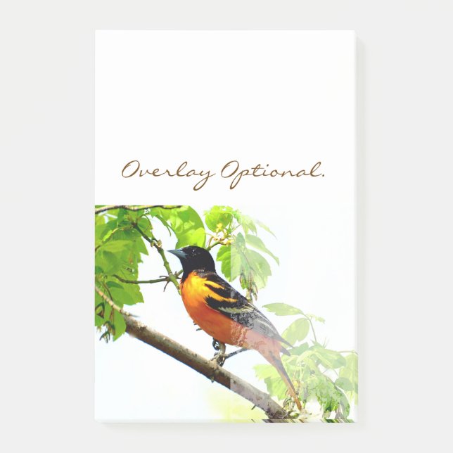 Baltimore Oriole 1 Post-it Notes (Front)