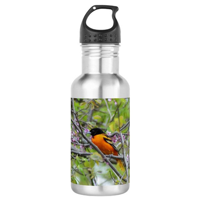 Baltimore Oriole 710 Ml Water Bottle (Front)