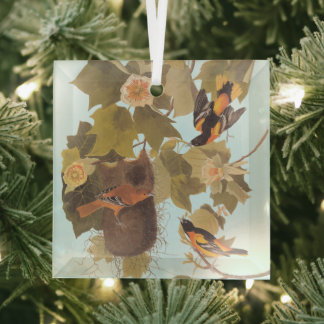 Baltimore Oriole Audubon Bird Family with Nest Glass Tree Decoration
