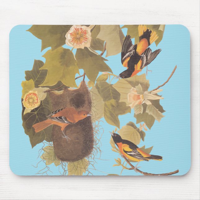 Baltimore Oriole Audubon Bird Family with Nest Mouse Pad (Front)