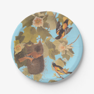 Baltimore Oriole Audubon Bird Family with Nest Paper Plate