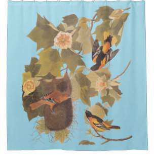 Baltimore Oriole Audubon Bird Family with Nest Shower Curtain