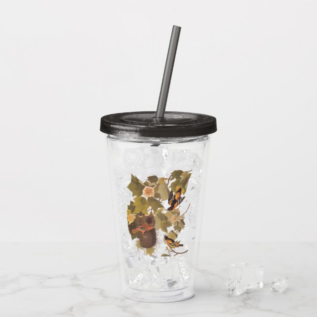 Baltimore Oriole Audubon Birds in Poplar Tree Acrylic Tumbler (Back Ice)
