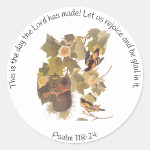 Baltimore Oriole Audubon Birds in Poplar Tree Classic Round Sticker