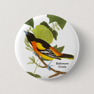 Baltimore Oriole, Audubon, Birdwatcher Accessory, 6 Cm Round Badge