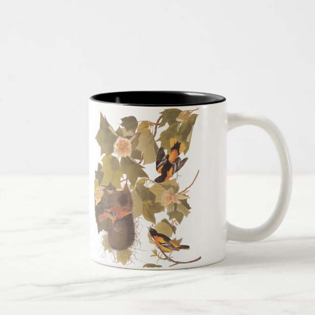 Baltimore Oriole Birds Nesting in a Poplar Tree Two-Tone Coffee Mug (Right)