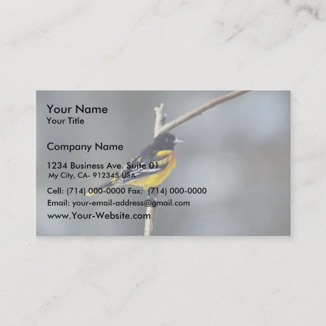 Baltimore Oriole Business Card (Front)