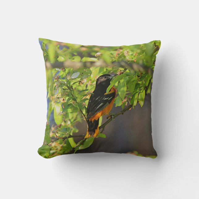 Baltimore oriole cushion (Front)