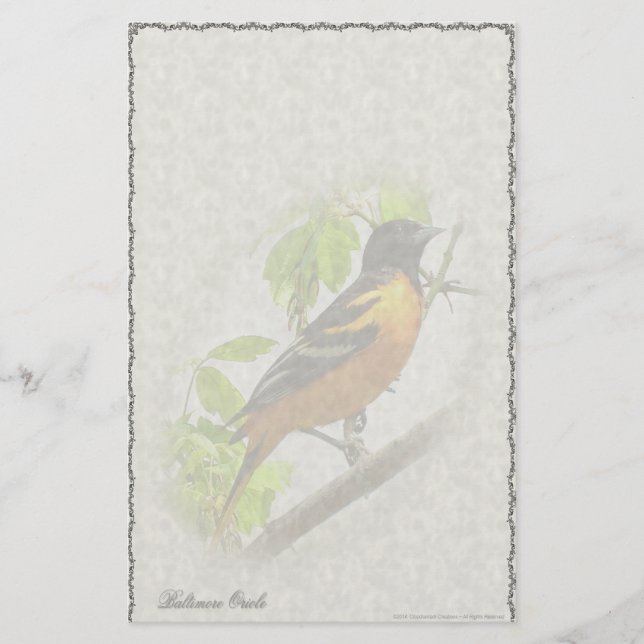 Baltimore Oriole Custom Stationery (Front)