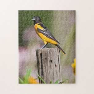Baltimore Oriole female in flower garden Jigsaw Puzzle