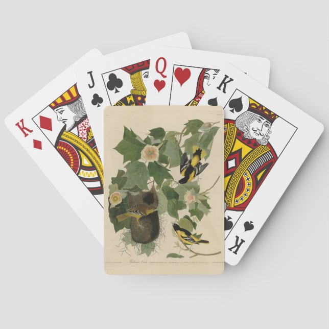 Baltimore Oriole - from Audubon's Birds of America Playing Cards (Back)
