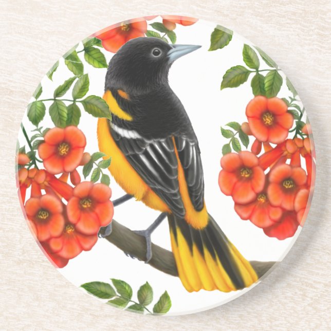 Baltimore Oriole in Trumpet Vines Coaster (Front)