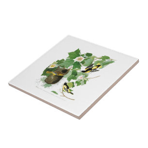 Baltimore Oriole John James Audubon Birds America Tile