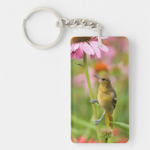 Baltimore Oriole Key Ring