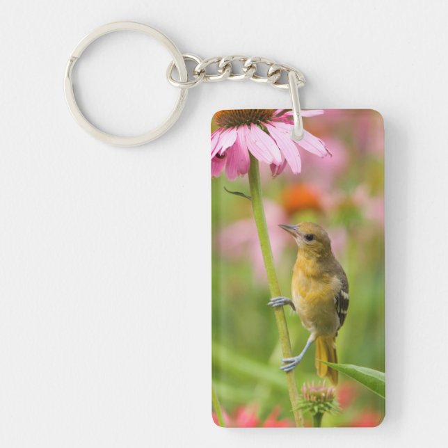 Baltimore Oriole Key Ring (Front)