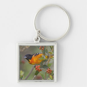 Baltimore Oriole Key Ring