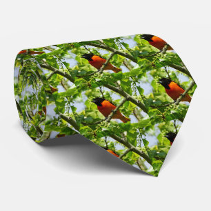 Baltimore Oriole Men's Tie
