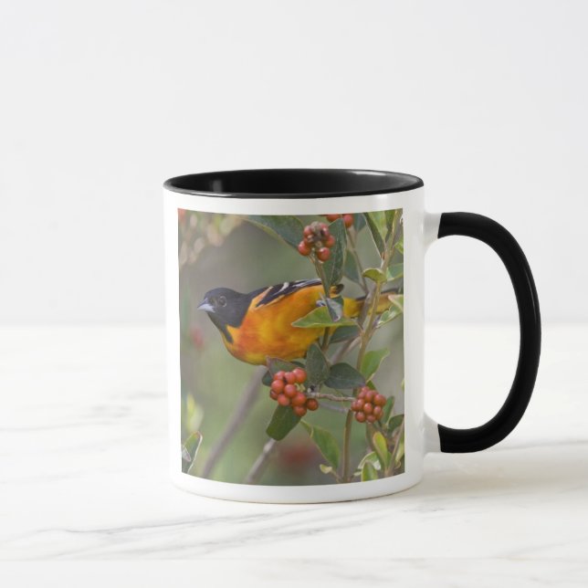 Baltimore Oriole Mug (Right)