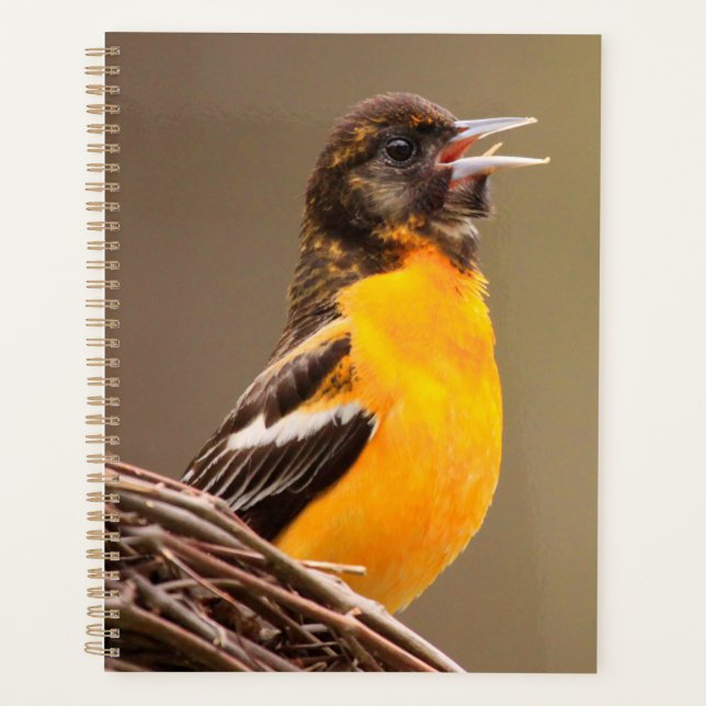 Baltimore Oriole  Planner (Front)