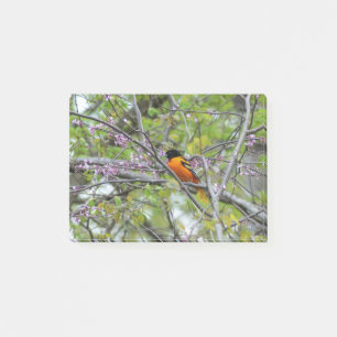 Baltimore Oriole Post-it Notes