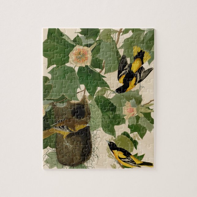 Baltimore Oriole Rare Audubon Jigsaw Puzzle (Vertical)