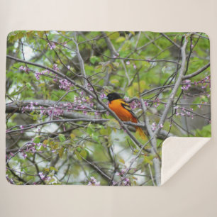 Baltimore Oriole Sherpa Blanket