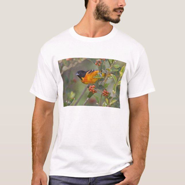 Baltimore Oriole T-Shirt (Front)