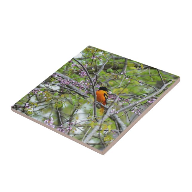 Baltimore Oriole Tile (Side)
