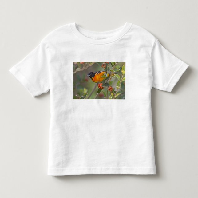 Baltimore Oriole Toddler T-Shirt (Front)