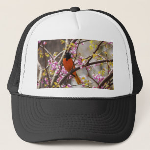 Baltimore Oriole Trucker Hat