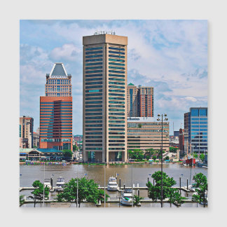 Baltimore Skyline from Federal Hill, Inner Harbour