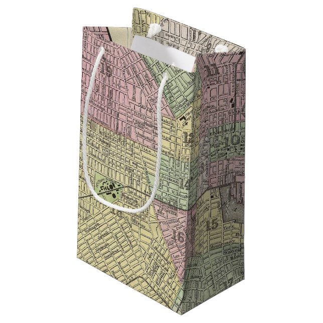 Baltimore Small Gift Bag (Back Angled)