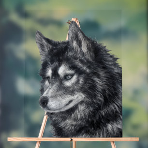 Balto Dog Acrylic Sign