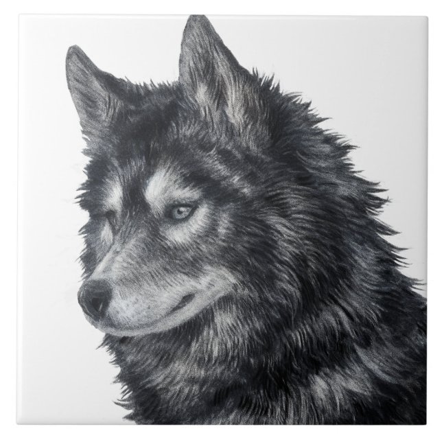 Balto Dog Illustration Tile (Front)