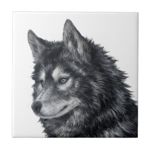 Balto Dog Tile