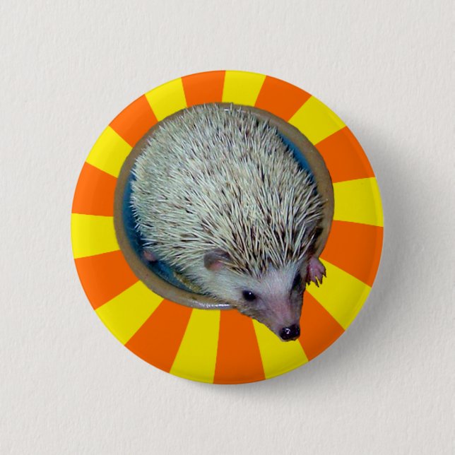BAM! Hedgehog Button (Front)