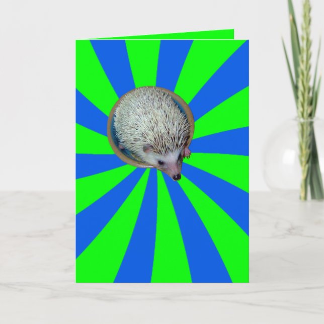 BAM! Hedgehog Greeting Card (Front)