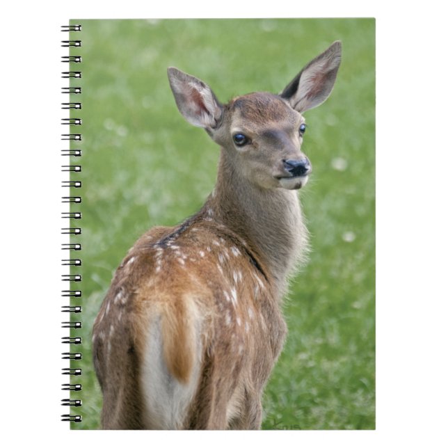 Bambi Notebook (Front)