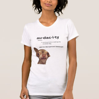 Bambi's Audacity - Women's T-Shirt