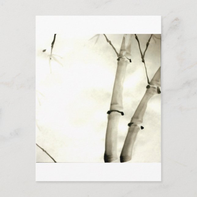 Bamboo and leaves postcard (Front)