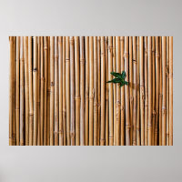 Bamboo barrier screen fence