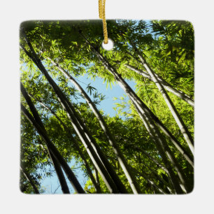 Bamboo Botanical Nature Ceramic Tree Decoration