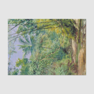 Bamboo, Cocoa Nut Trees, Bath Valley, Jamaica Tissue Paper