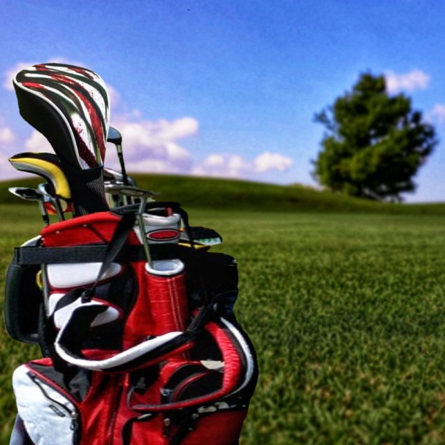 Bamboo Crossing     Golf Head Cover (This Bamboo Crossing Golf Club Cover, has an eye-catching design!)