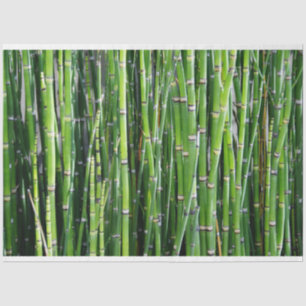 Bamboo Decoupage 24 Background Tissue Paper
